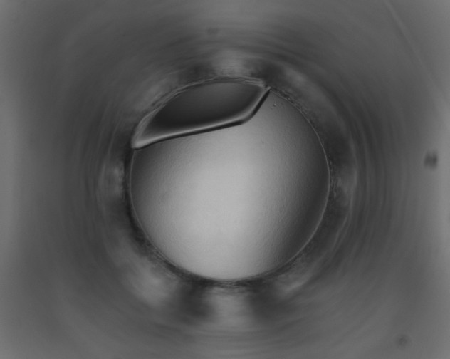 X0000093560556200710151109