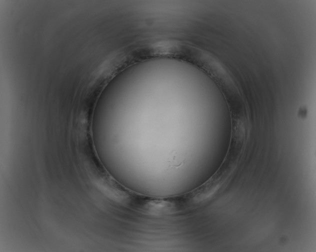 X0000093560557200710151109