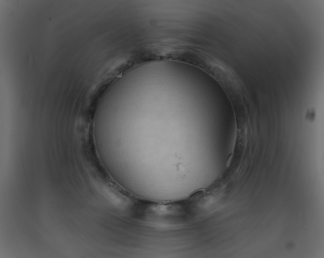 X0000093560558200710151109