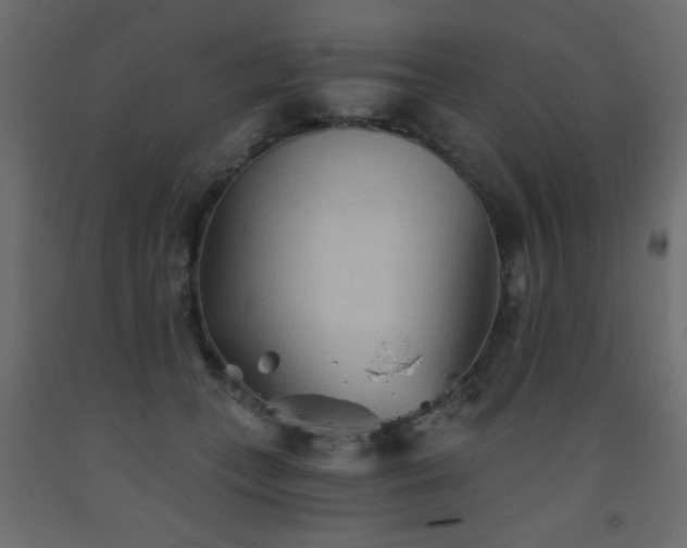 X0000093560559200710151109