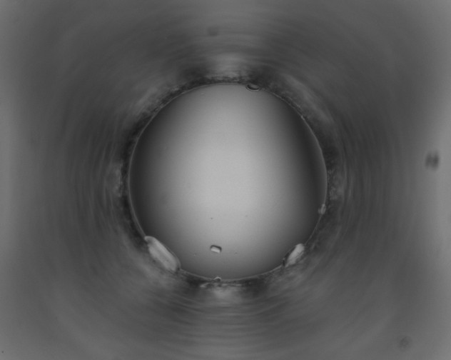 X0000093560560200710151109