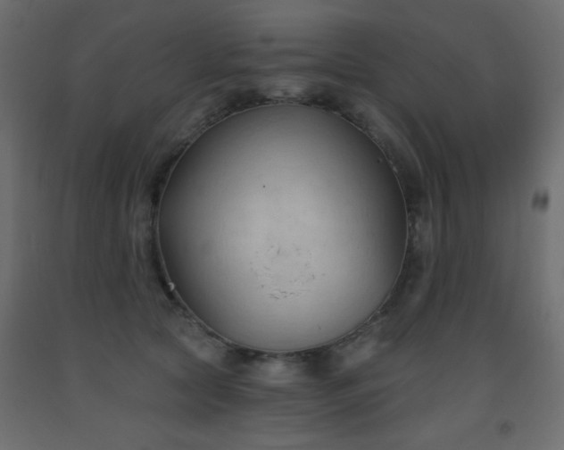 X0000093560561200710151109