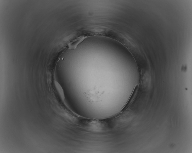 X0000093560562200710151109