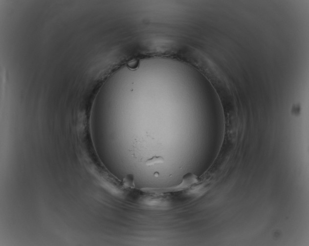 X0000093560563200710151109