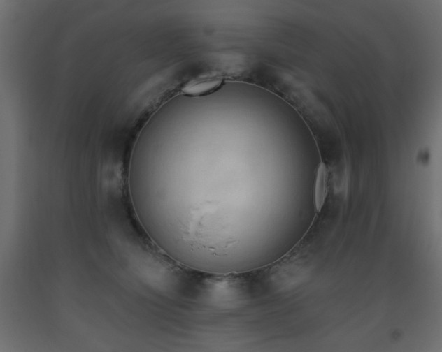 X0000093560564200710151109