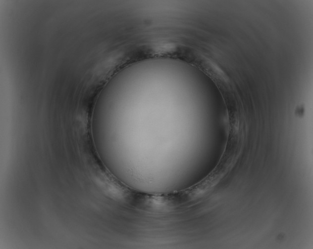 X0000093560565200710151109
