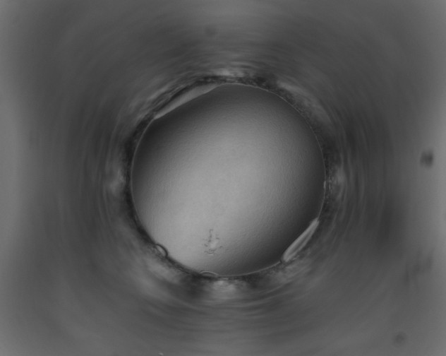 X0000093560566200710151109