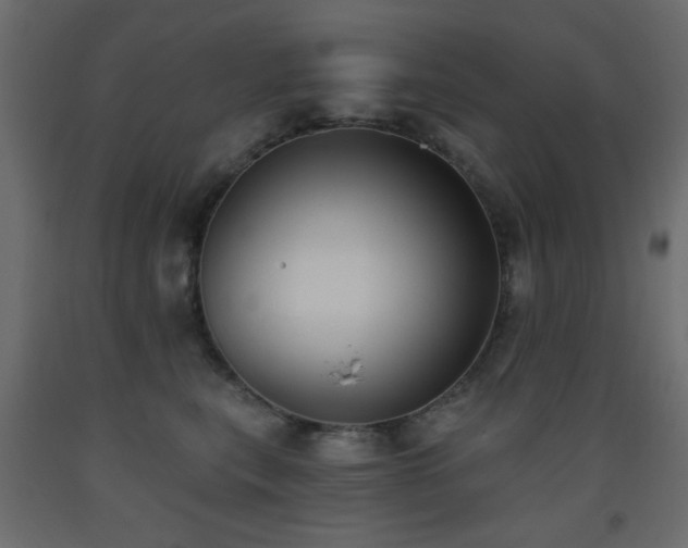 X0000093560567200710151109
