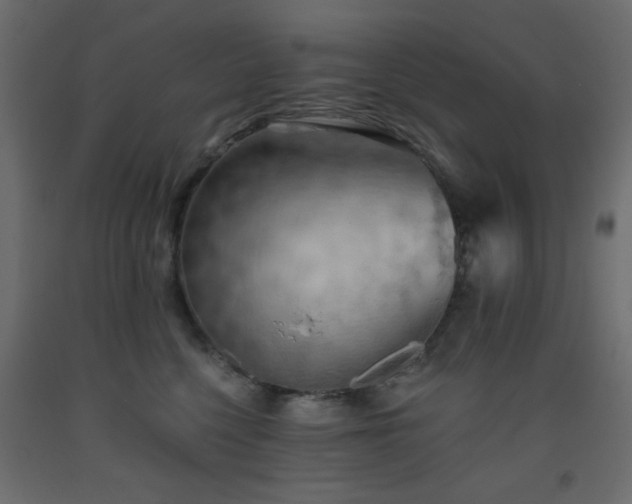 X0000093560568200710151109