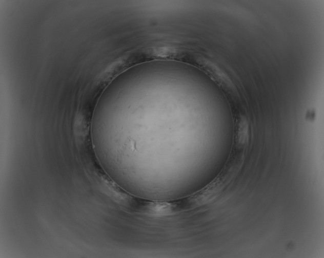 X0000093560569200710151109
