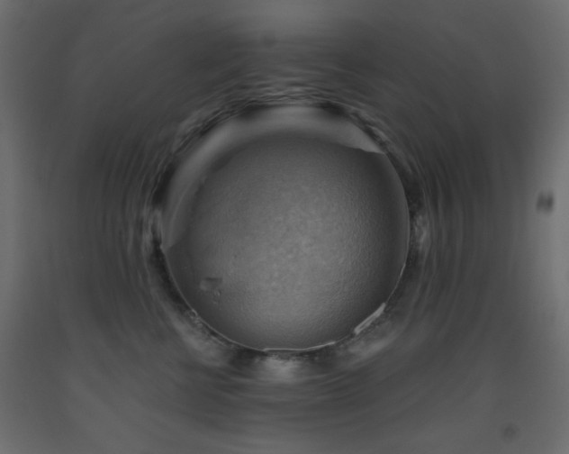 X0000093560570200710151109