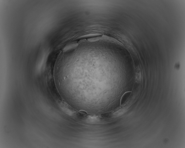X0000093560573200710151109