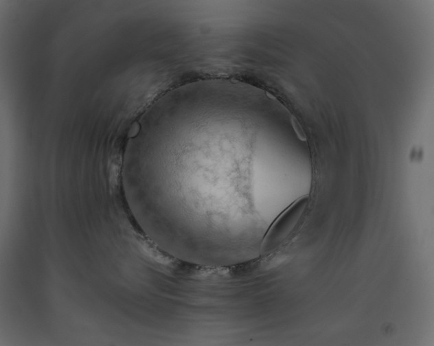 X0000093560576200710151109