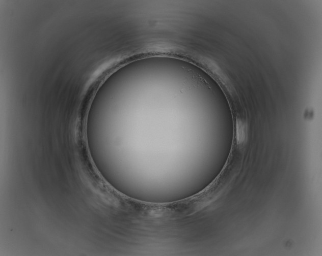 X0000093560579200710151109