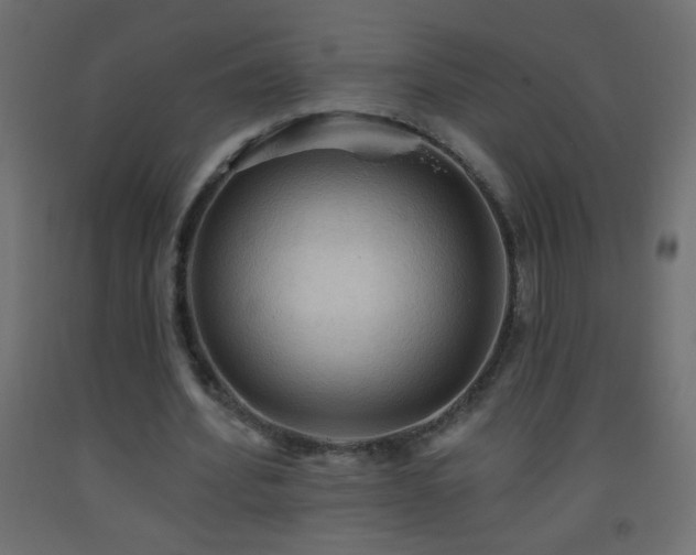 X0000093560580200710151109