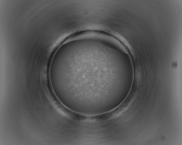 X0000093560581200710151109