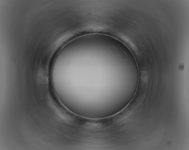 X0000093560582200710151109