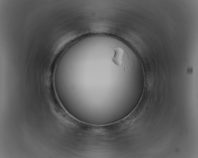 X0000093560583200710151109