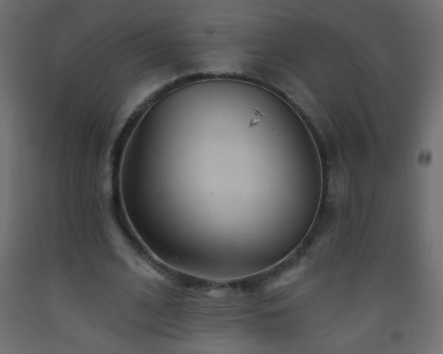 X0000093560584200710151109