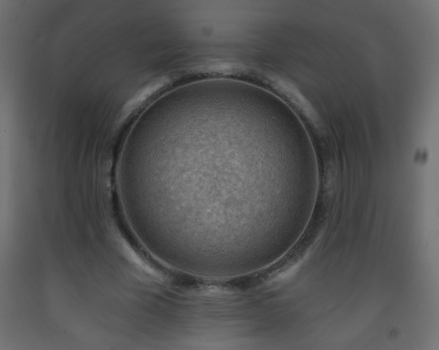 X0000093560585200710151109