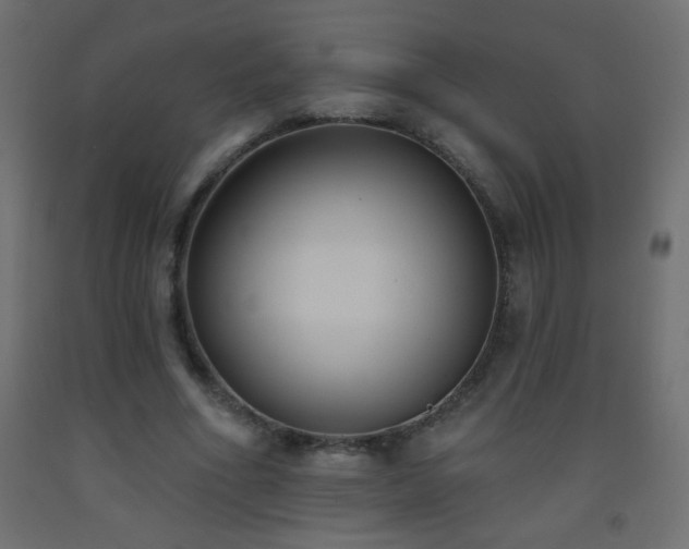 X0000093560586200710151109