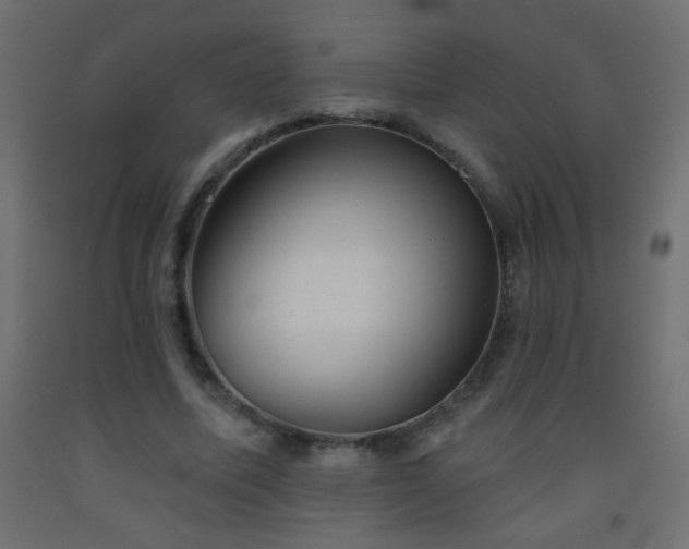 X0000093560587200710151109