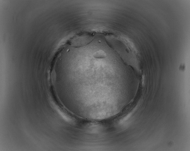 X0000093560589200710151109