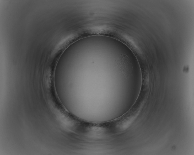 X0000093560590200710151109