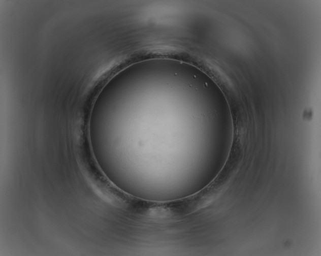 X0000093560591200710151109