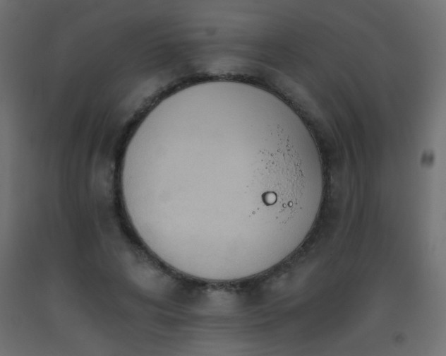 X0000093560592200710151109