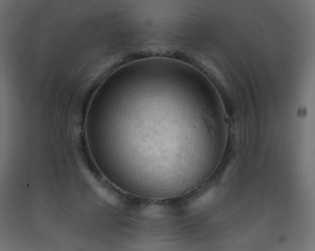 X0000093560593200710151109