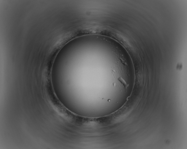 X0000093560594200710151109