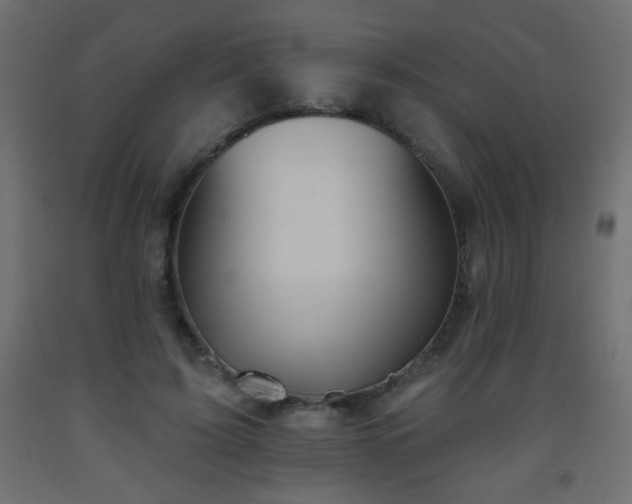 X0000093560595200710151109