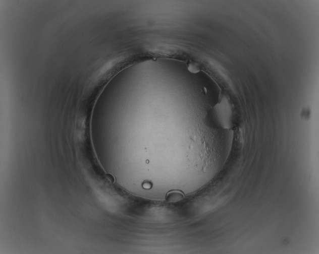 X0000093560596200710151109