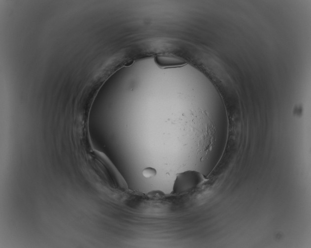 X0000093560597200710151109