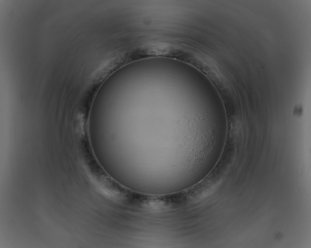 X0000093560598200710151109