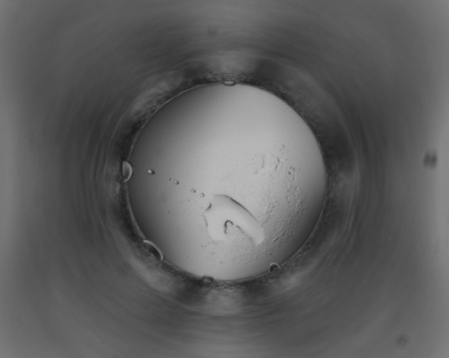 X0000093560599200710151109