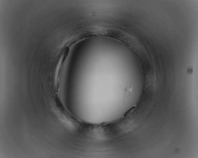 X0000093560600200710151109