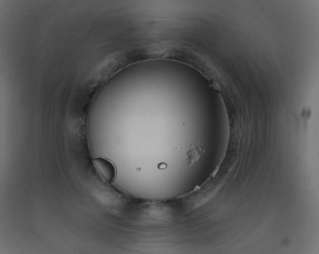 X0000093560601200710151109