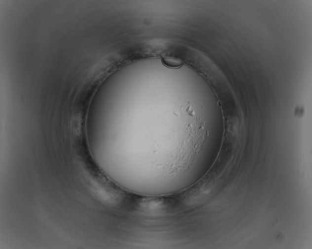 X0000093560602200710151108