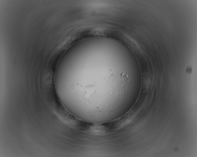 X0000093560603200710151108