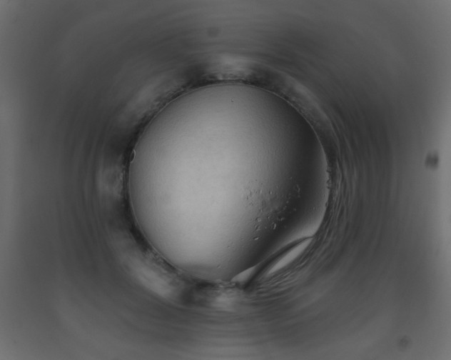X0000093560604200710151108