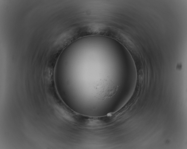 X0000093560605200710151108