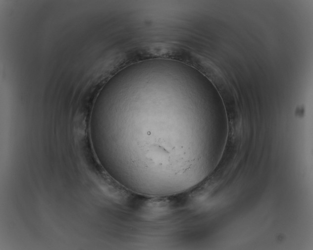 X0000093560606200710151108