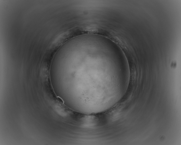X0000093560609200710151108