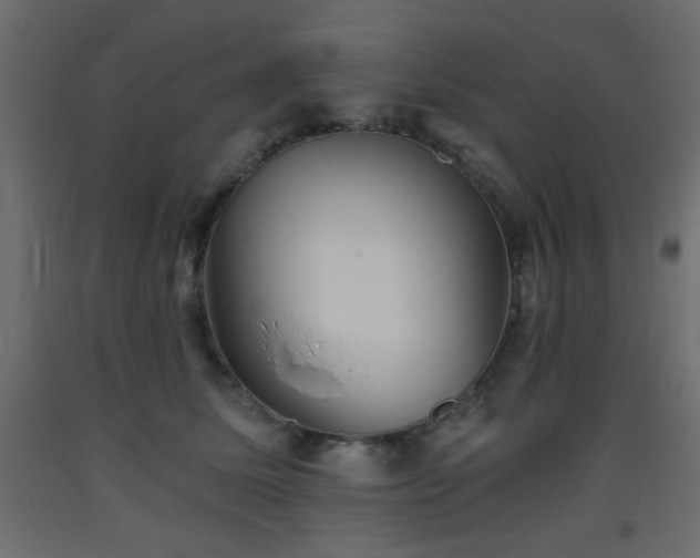 X0000093560611200710151108