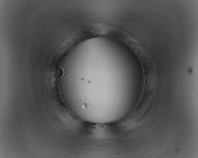 X0000093560612200710151108