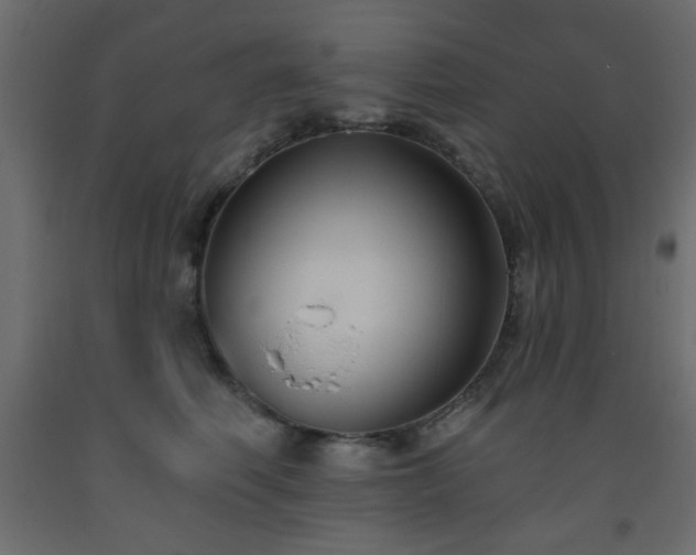 X0000093560614200710151108