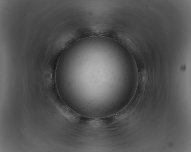 X0000093560615200710151108