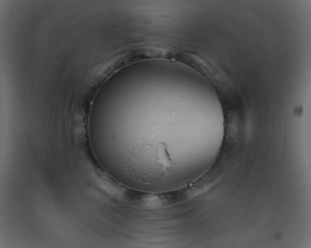 X0000093560616200710151108